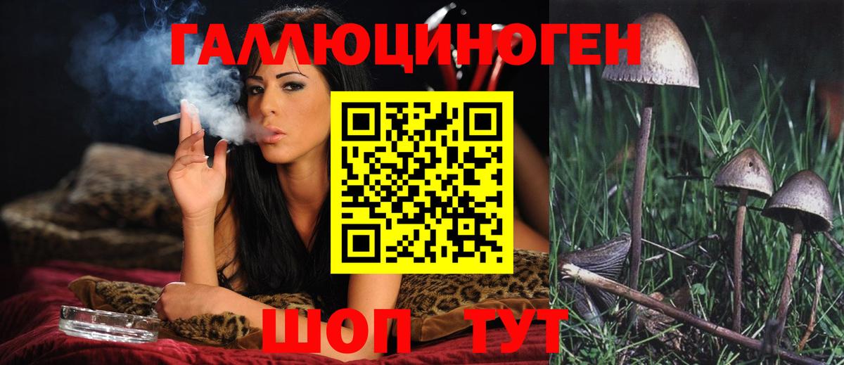 Вичуга  Псилоцибиновые грибы MAGIC MUSHROOMS  Вход с VPN 